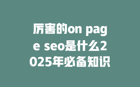 厉害的on page seo是什么2025年必备知识 一