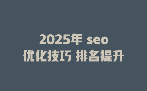 2025年 seo优化技巧 排名提升 一