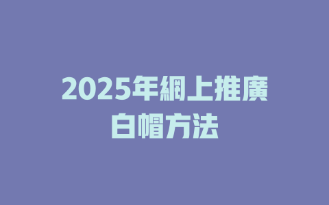 2025年網上推廣白帽方法 一