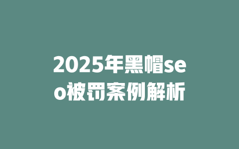 2025年黑帽seo被罚案例解析 一