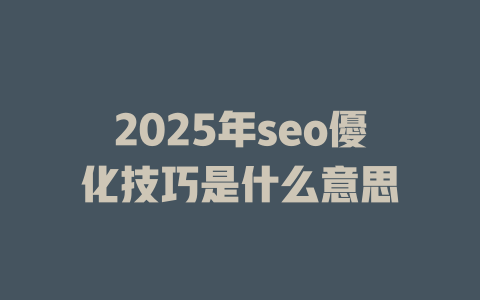 2025年seo優化技巧是什么意思 一