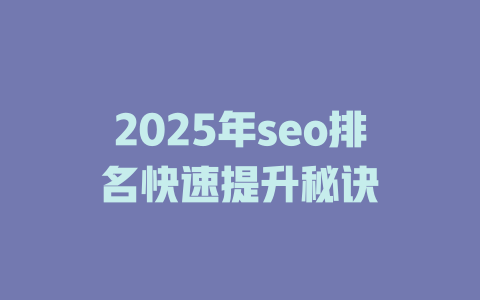 2025年seo排名快速提升秘诀 一