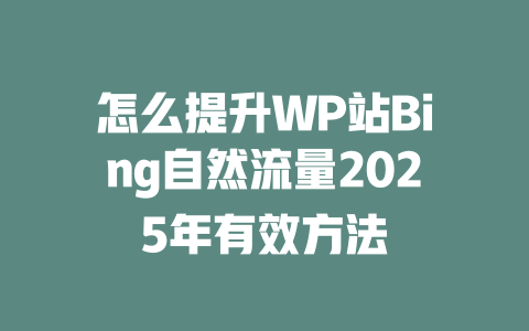 怎么提升WP站Bing自然流量2025年有效方法 一
