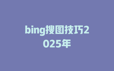 bing搜图技巧2025年 一