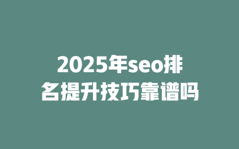 2025年seo排名提升技巧靠谱吗 一
