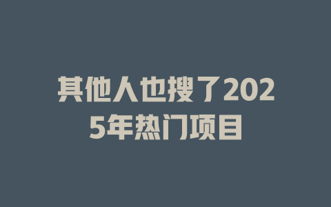 其他人也搜了2025年热门项目 一
