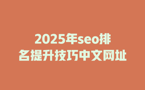 2025年seo排名提升技巧中文网址 一