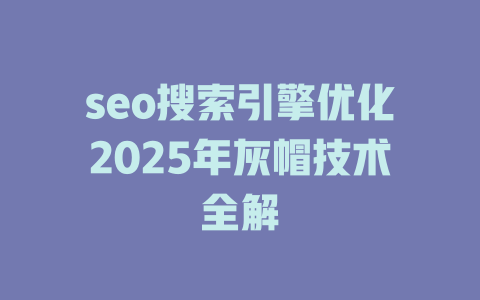 seo搜索引擎优化2025年灰帽技术全解 一