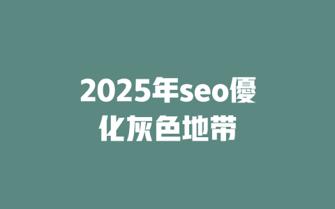 2025年seo優化灰色地带 一