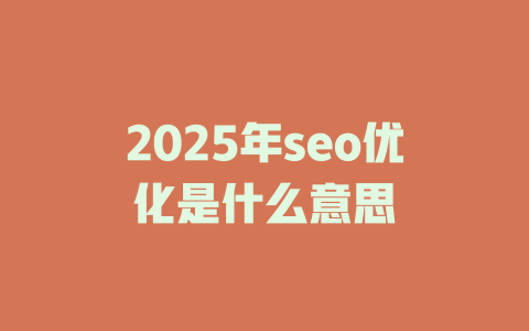 2025年seo优化是什么意思 一