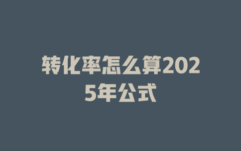 转化率怎么算2025年公式 一